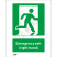 ISO安全标识: Emergency exit (right hand)